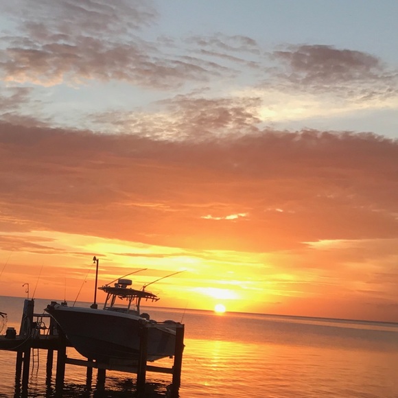 ⭐️Sunshine ❤️🌹🇺🇸 Posh Ambassador - Picture 1 of 2